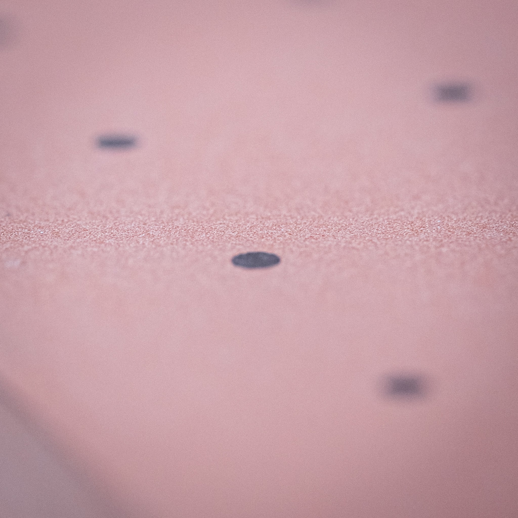 10Good Ensemble Togiba #1000