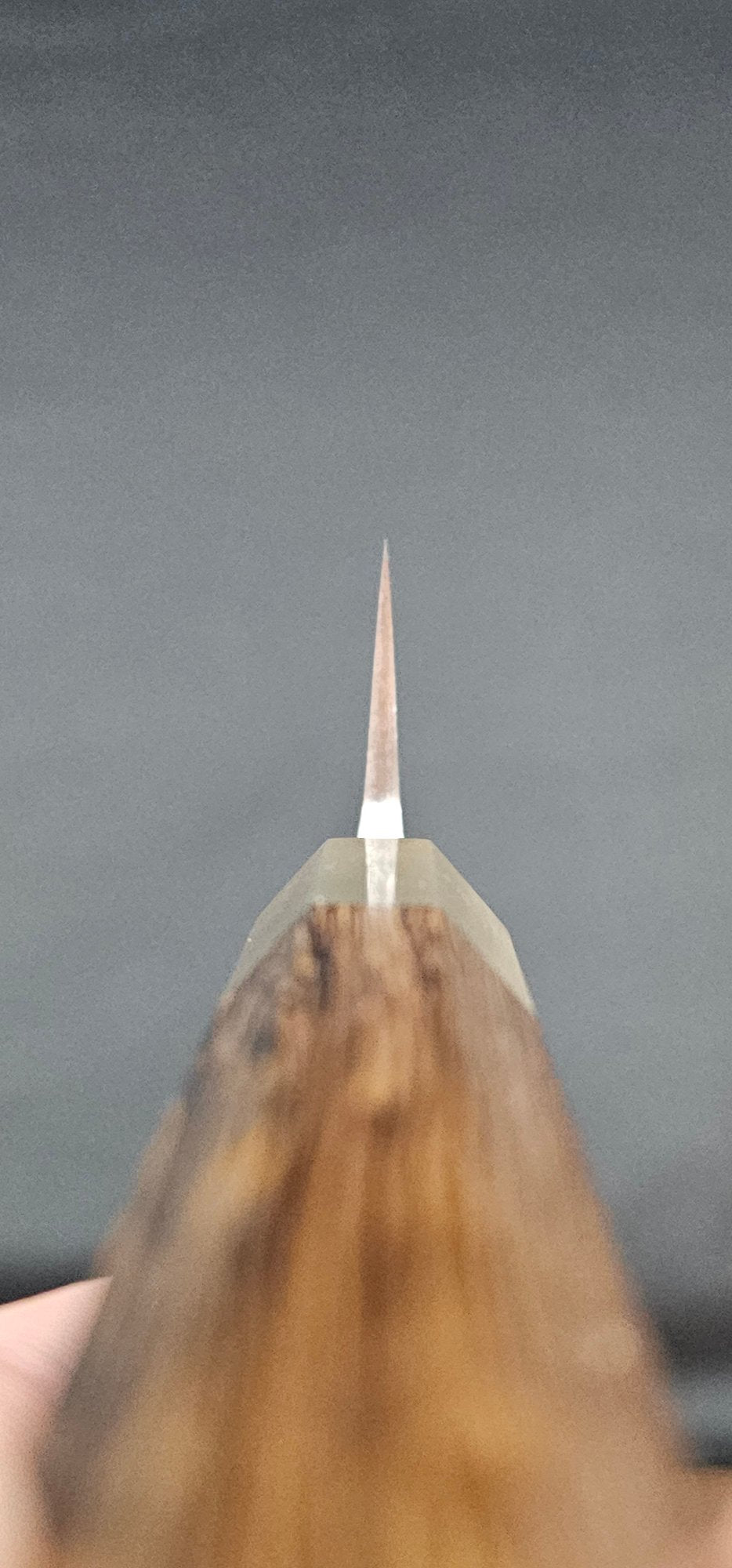 Jiro Tsuchime Wa Sujihiki 270mm Taihei Tagayasan (#488)