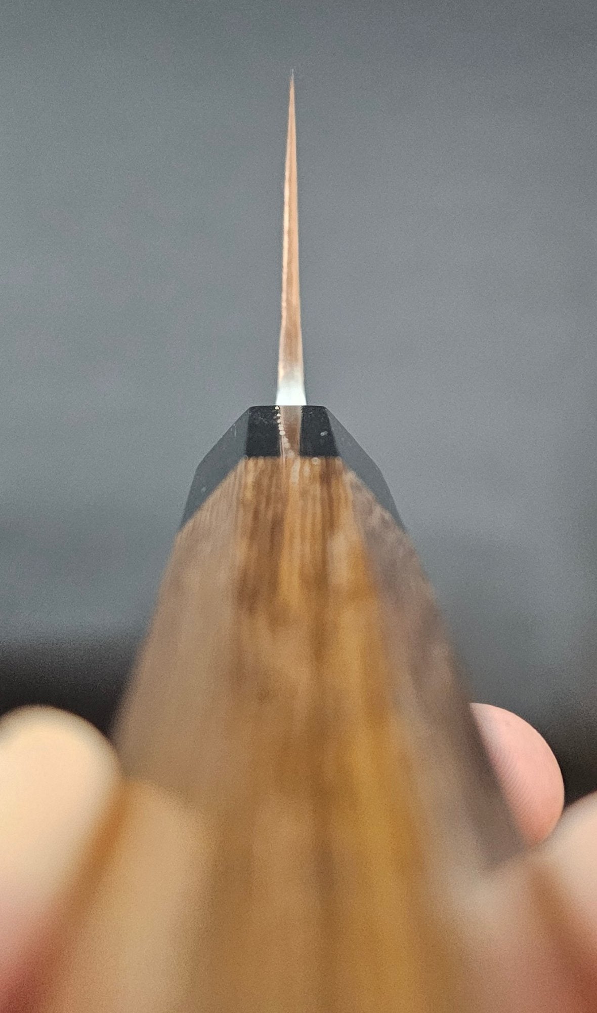 Jiro Tsuchime Wa Gyuto 210mm Taihei Tagayasan (#491)