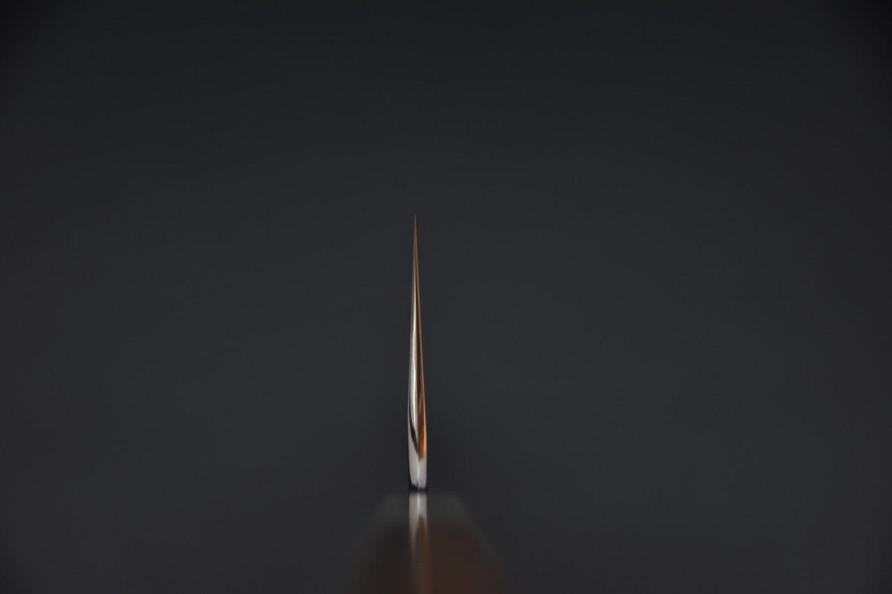 Hitohira Togashi Aogami #1 Stainless Clad Migaki Gyuto 270mm Ziricote