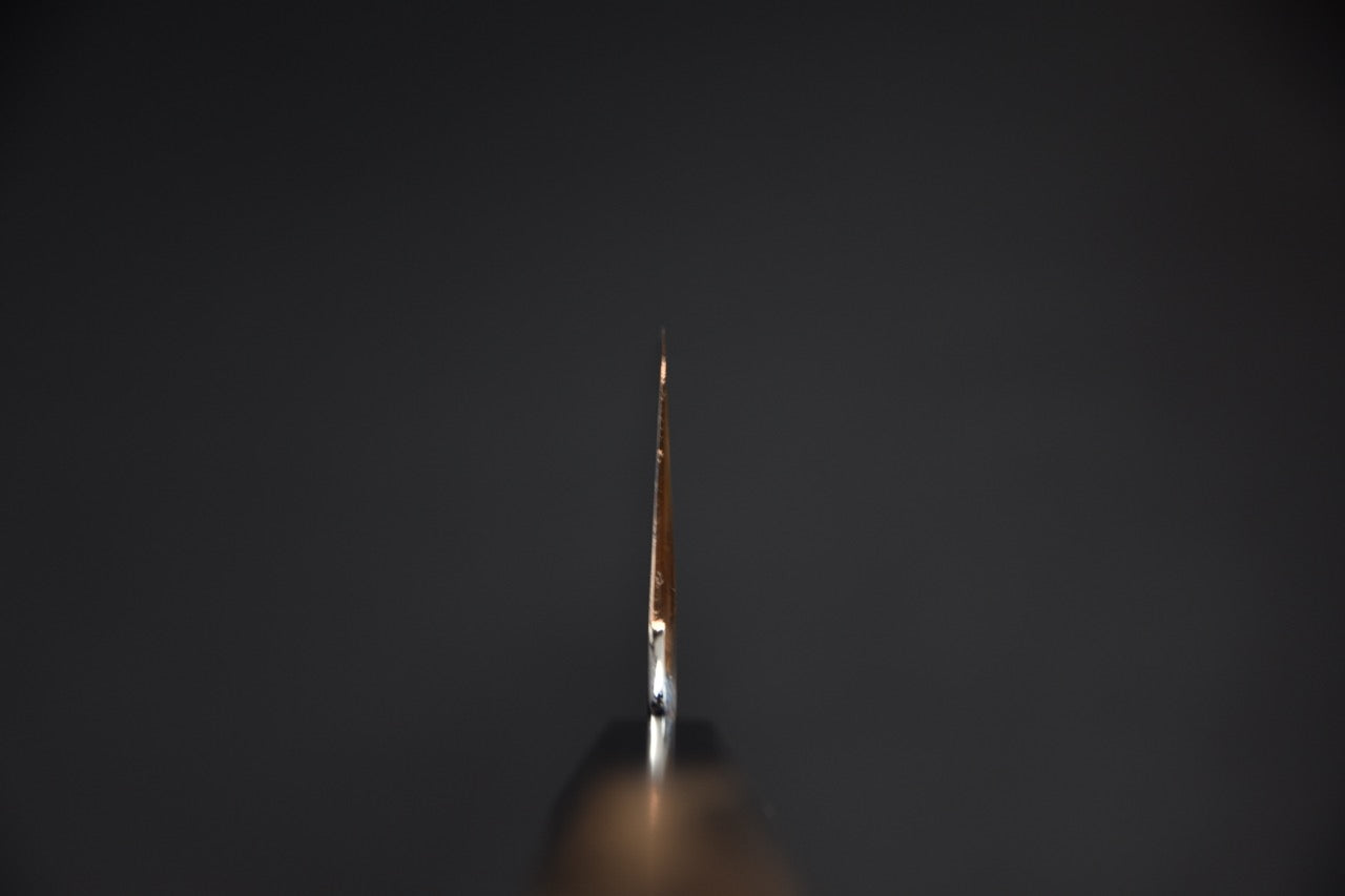 Hitohira Togashi gyuto 240 mm couteau japonais — vue d'ensemble manche et lame