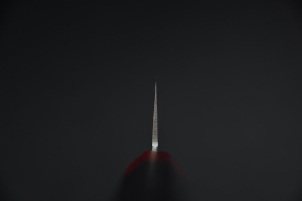 Hitohira T10 santoku — détail de la surface polie, reflet satiné