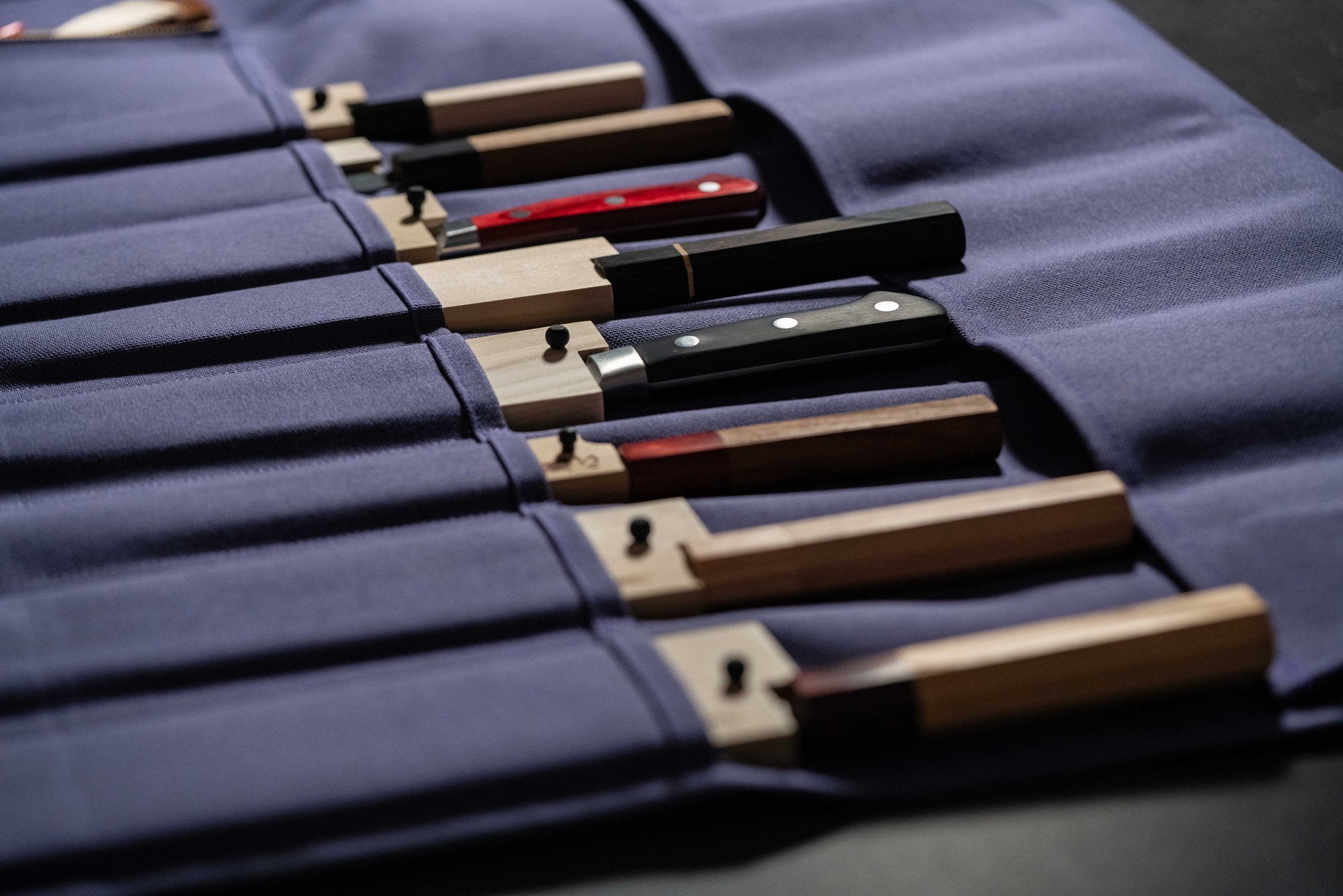 HI-CONDITION Hanpu Rouleau 9 Pochettes Violet