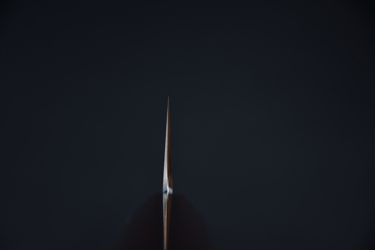 Hado Ginsan Gyuto 210mm Kijiro laqué