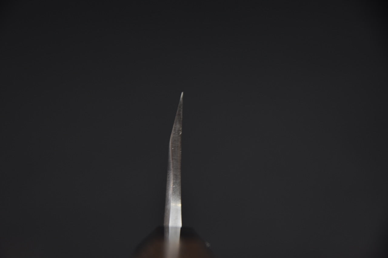 Hatsukokoro Aogami #2 Damascus Deba 165mm Tagayasan