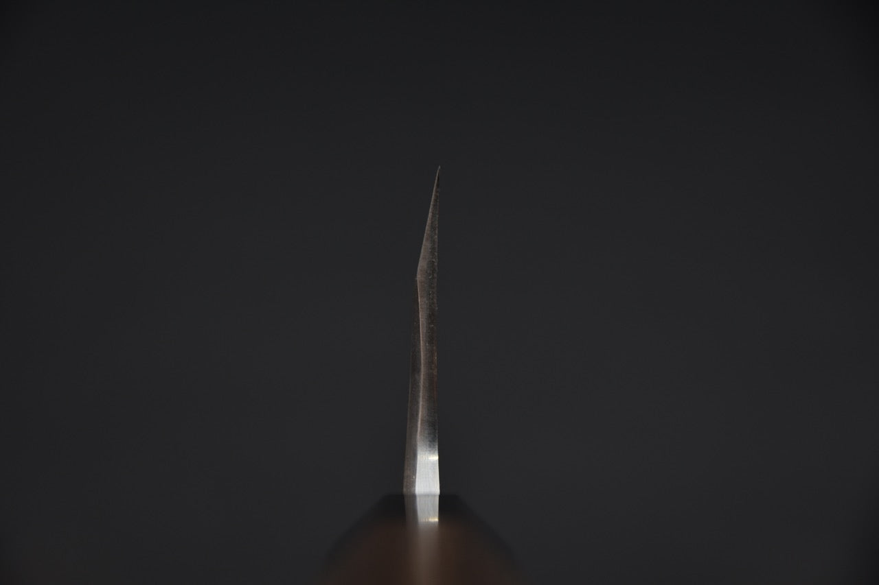 Hatsukokoro Aogami #2 Damascus Deba 180mm Tagayasan