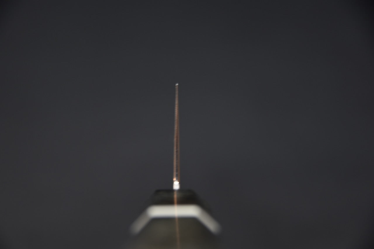 Hatsukokoro Hayabusa Aogami #2 Rainbow Damascus Gyuto 210mm Birch Wood 