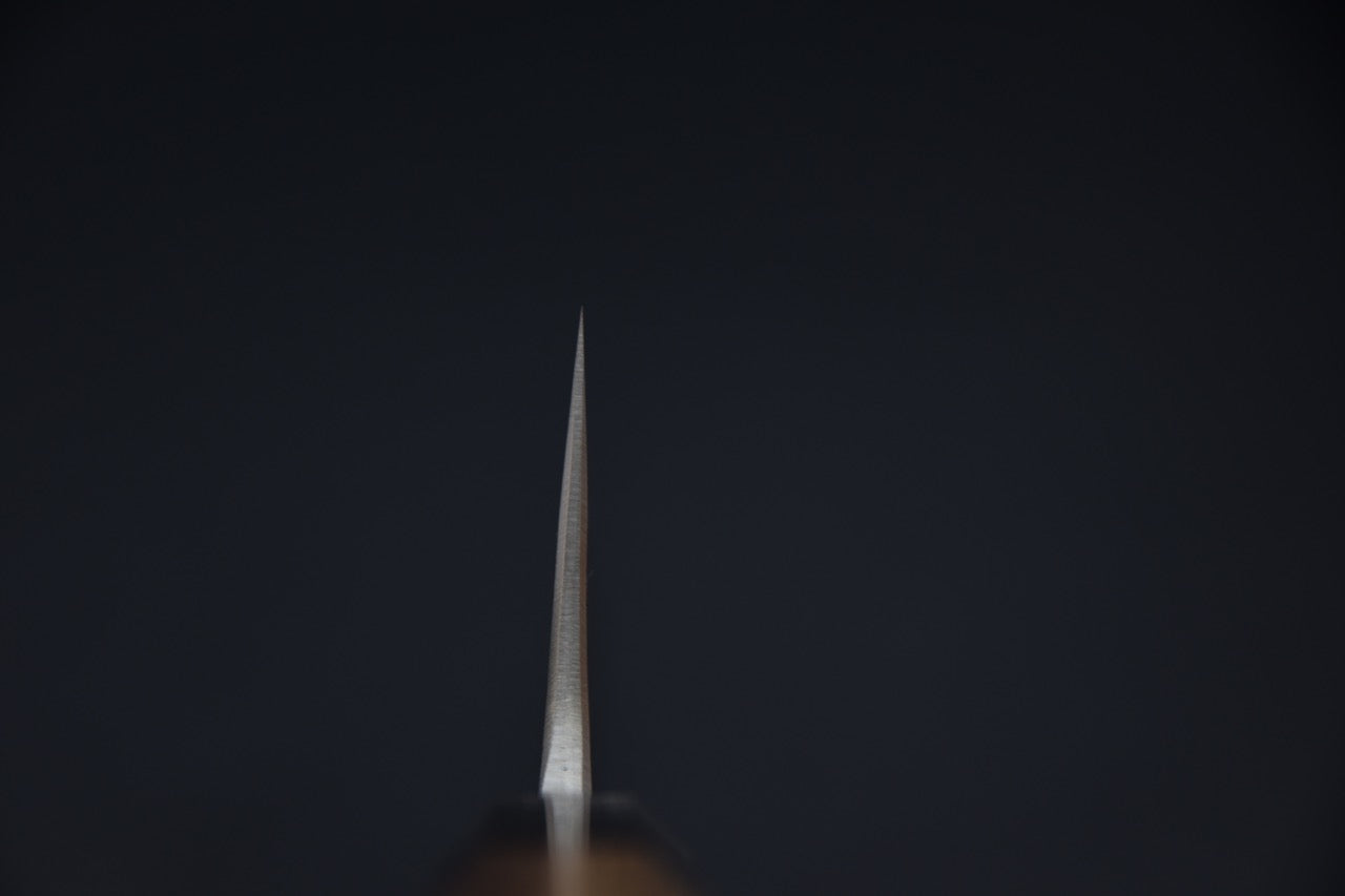 Hatsukokoro Kurokaze Shirogami #2 Gyuto 210mm Tagayasan