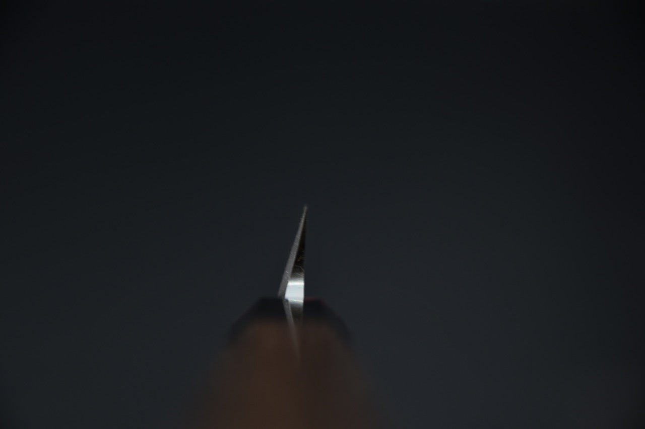 Hatsukokoro Shirasagi Shirogami #2 Kiritsuke Yanagiba 270mm Tagayasan