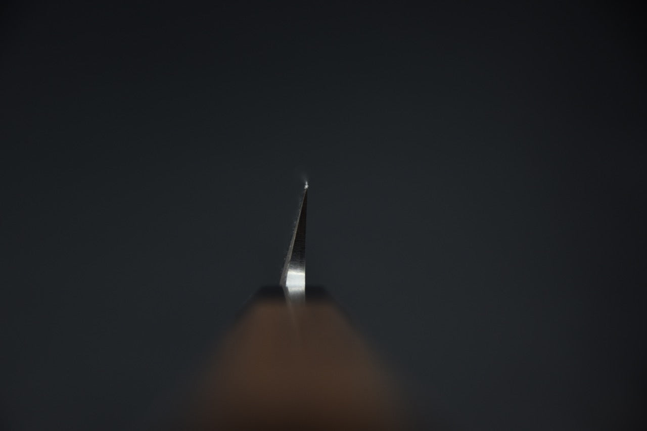 Hatsukokoro Shirasagi Shirogami #2 Yanagiba 270mm Tagayasan