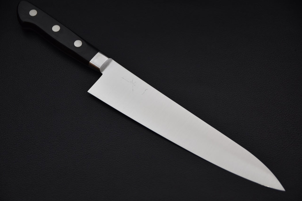 Hitohira Ashi Swedish Stainless Gyuto 210mm Pakka