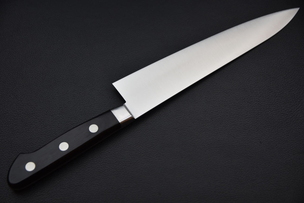 Hitohira Ashi Swedish Stainless Gyuto 210mm Pakka