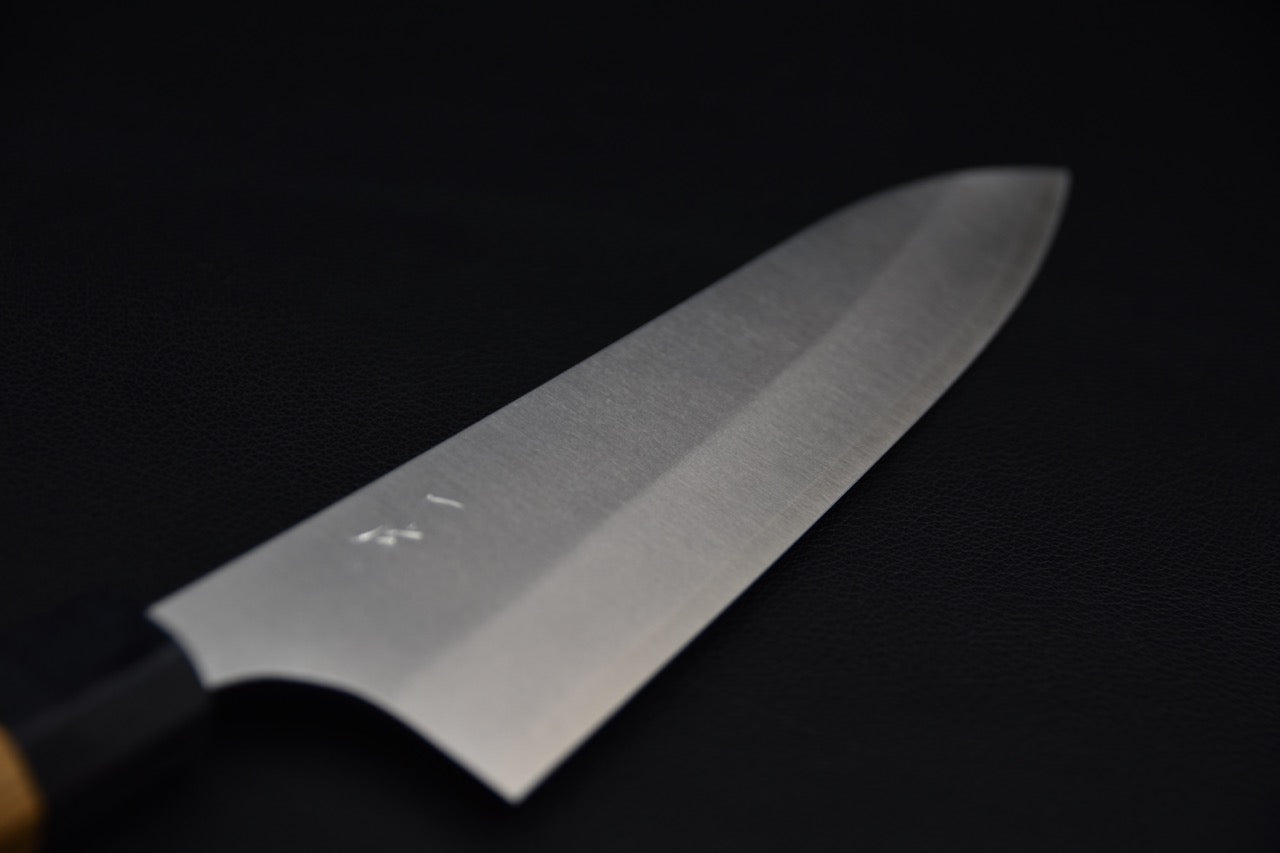 Hitohira Echizen SG2 Gyuto 210mm Keyaki Zelkova