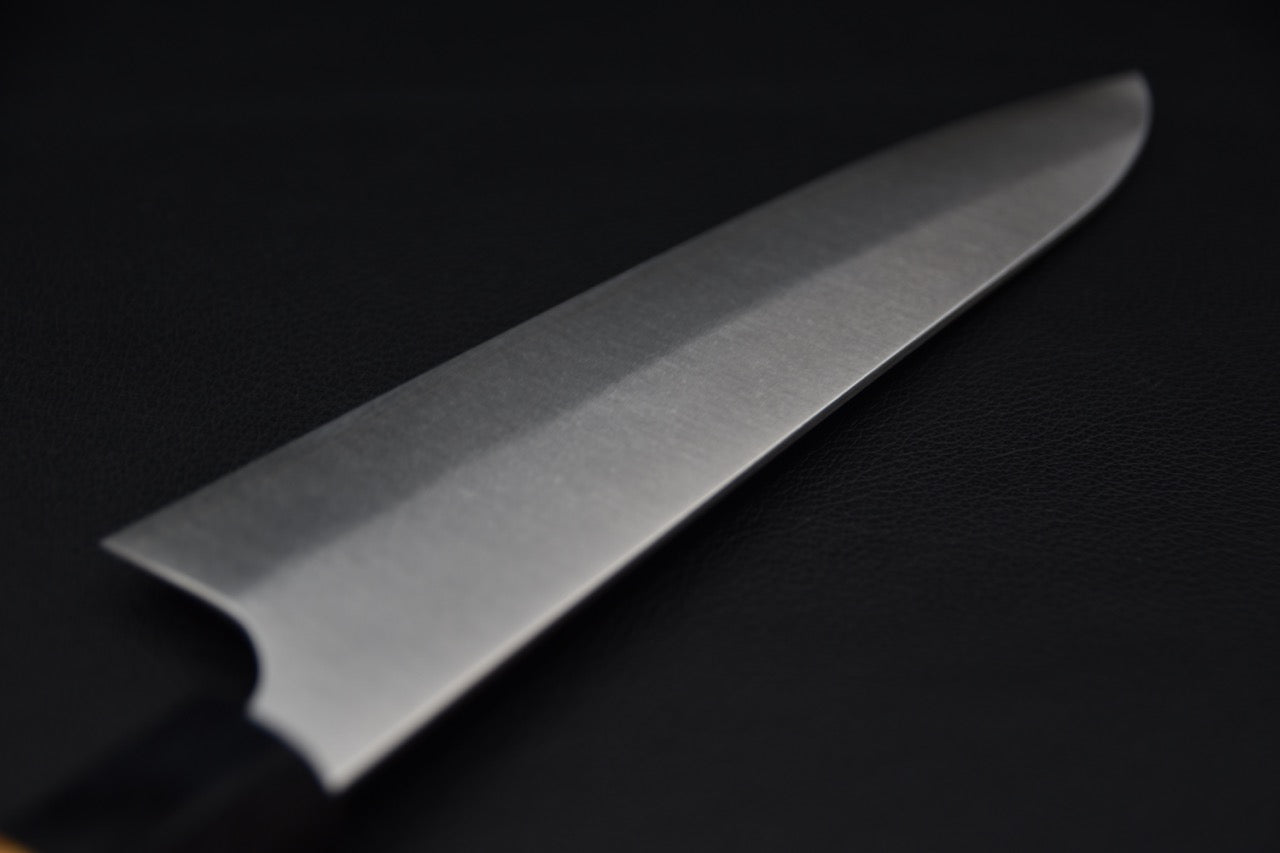 Hitohira Echizen SG2 Gyuto 210mm Keyaki Zelkova