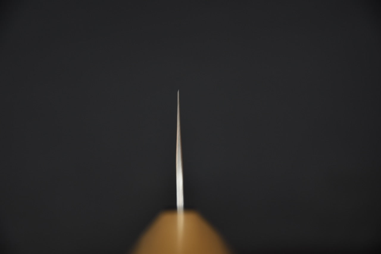 Hitohira Echizen SG2 Gyuto 210mm Keyaki Zelkova