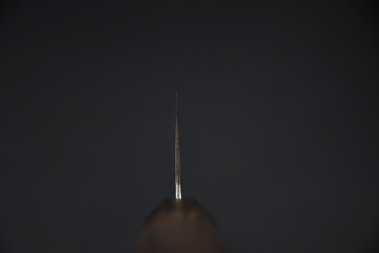 Hitohira Futana Stainless Poli Tsuchime Damascus Gyuto 210mm Tagayasan