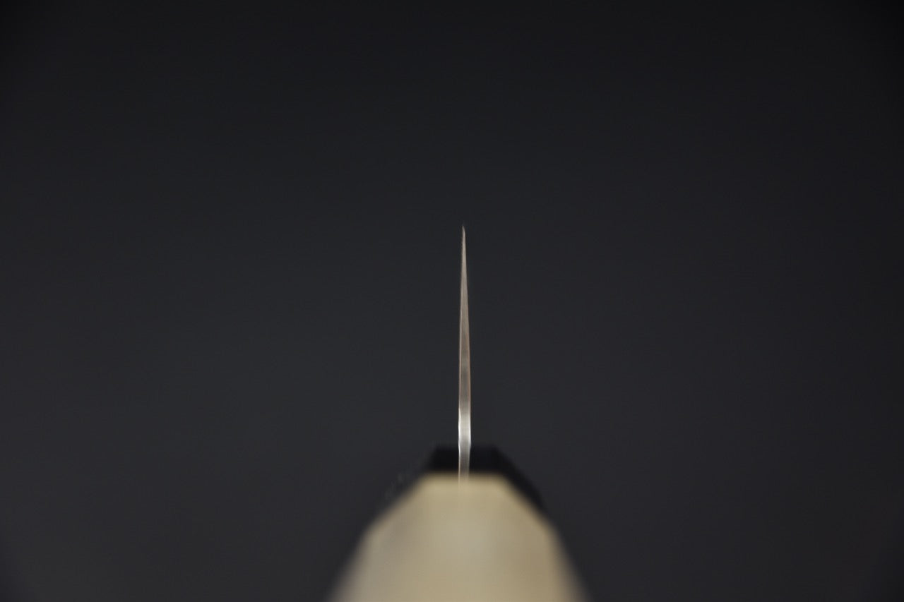 Hitohira HG Damascus Gyuto 210mm Ho