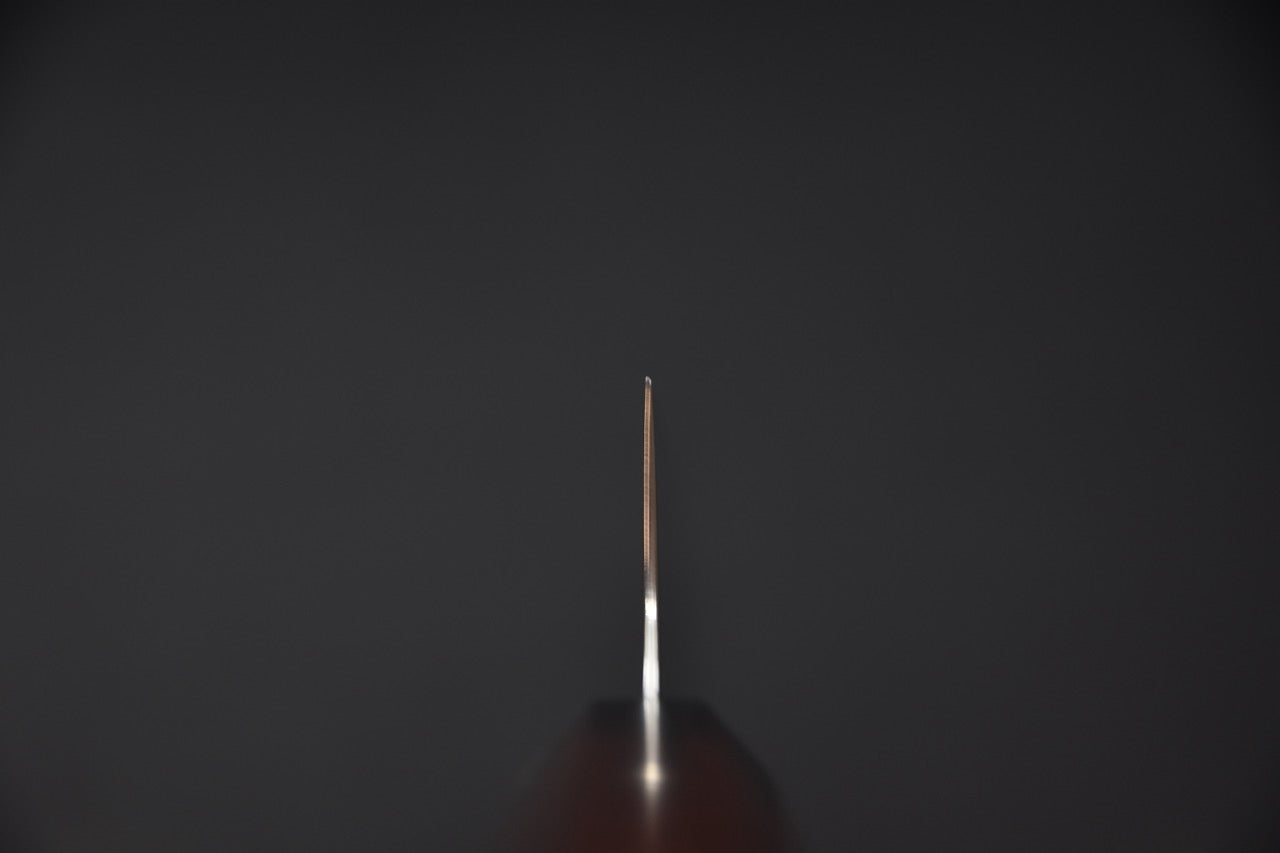 Vue du profil de la lame du couteau japonais Kiritsuke Gyuto 210mm, montrant la finesse du tranchant.