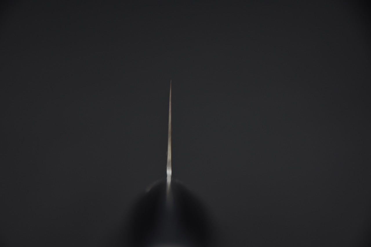 Hitohira KH Semi Stainless Gyuto 210mm Pakka