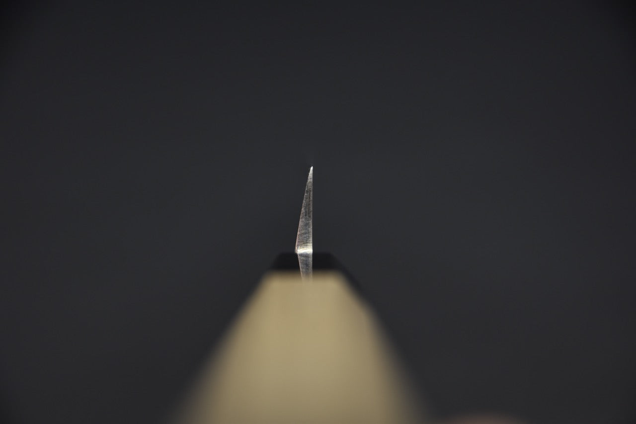 Hitohira Kikuchiyo Manzo Aogami #2 Takobiki 270mm Ho