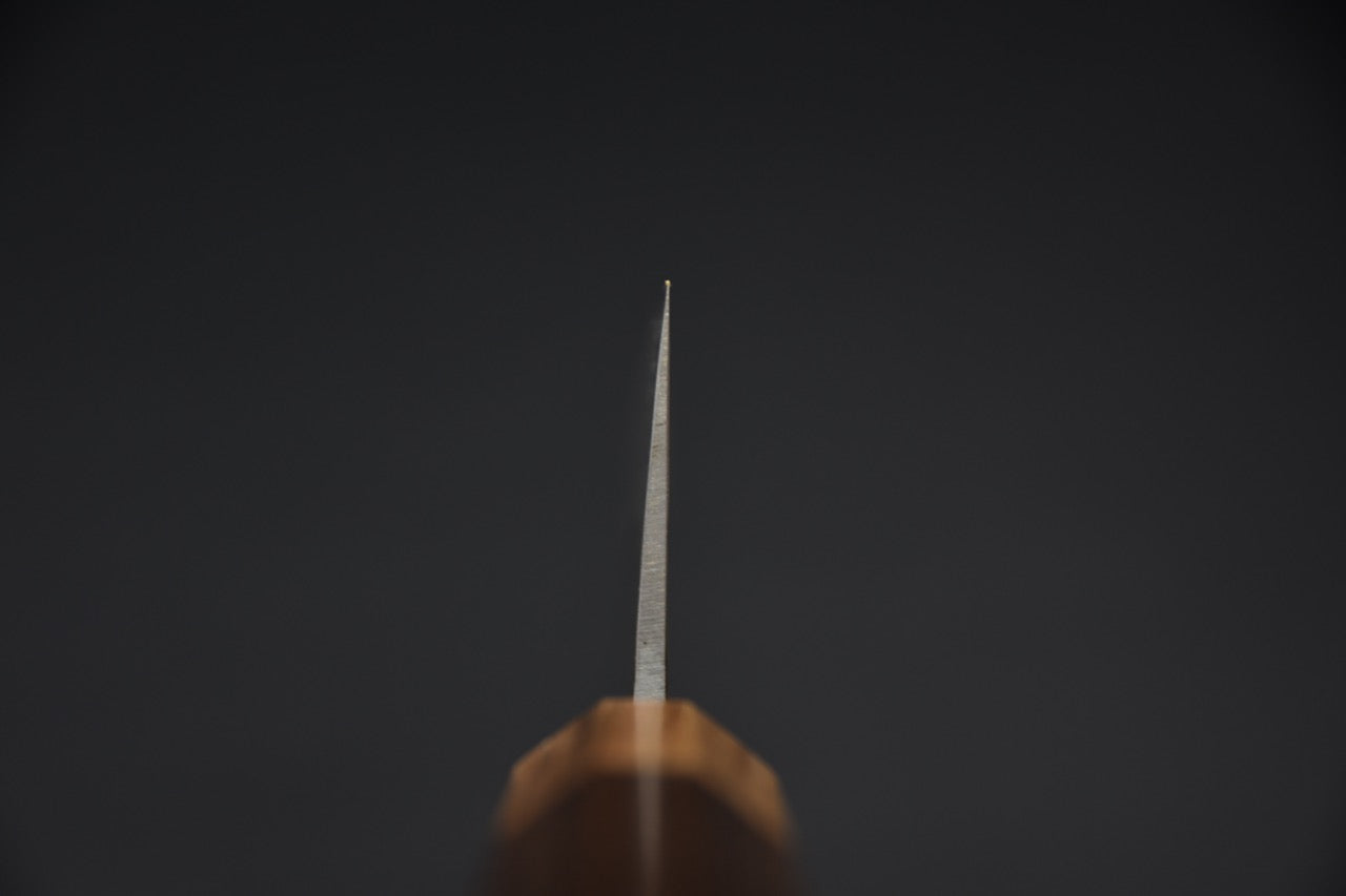 Hitohira TD Aogami #2 Kurouchi Bunka 170mm Tagayasan