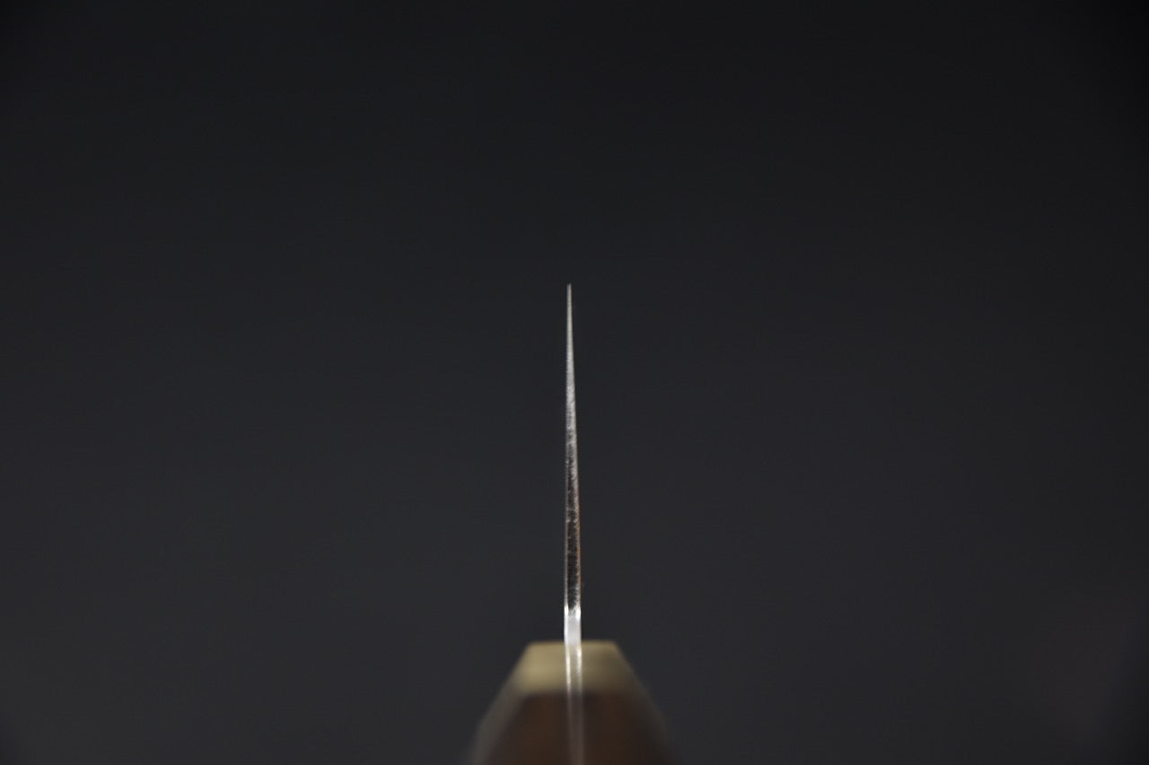 Hitohira Tanaka Izo Aogami #1 Gyuto 240mm Ziricote