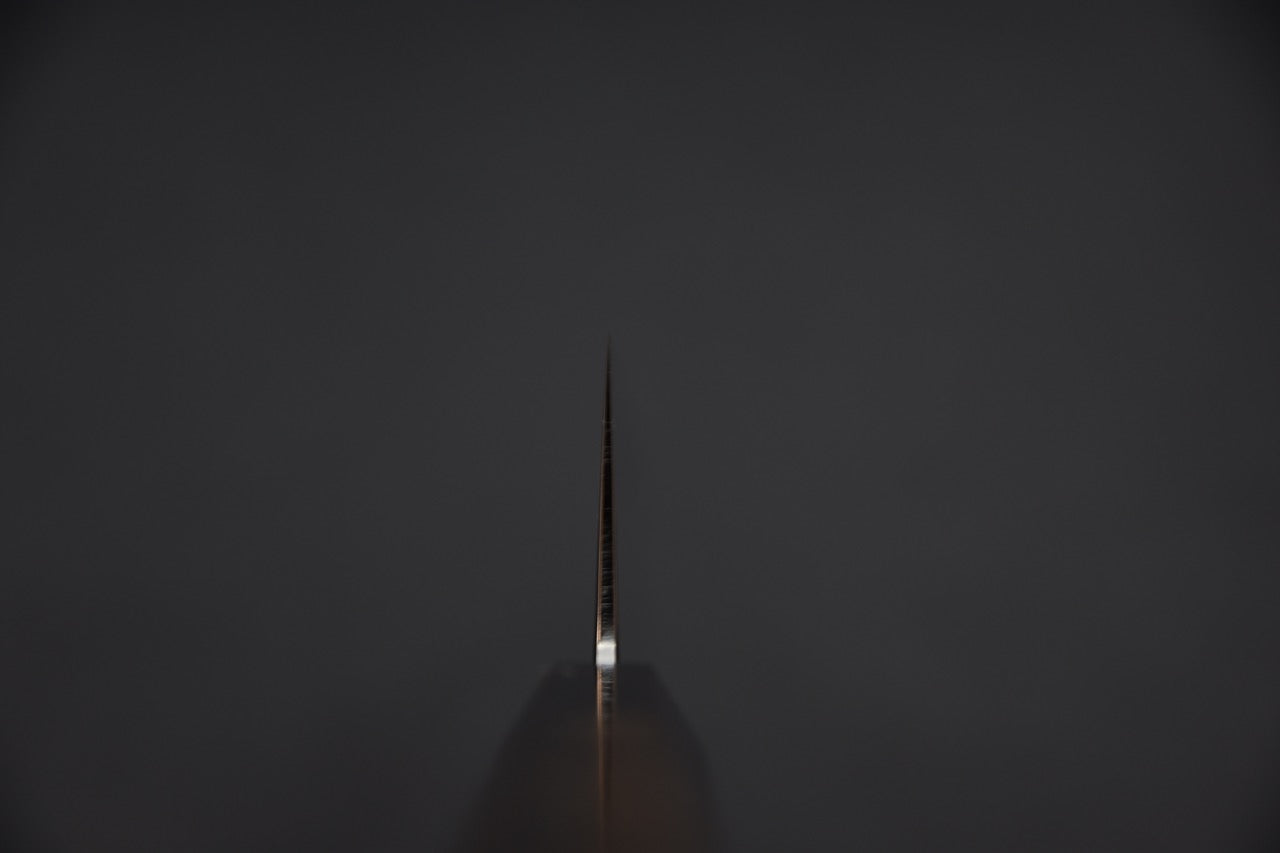 Hitohira Tanaka Izo Aogami #1 Gyuto 210mm Ziricote