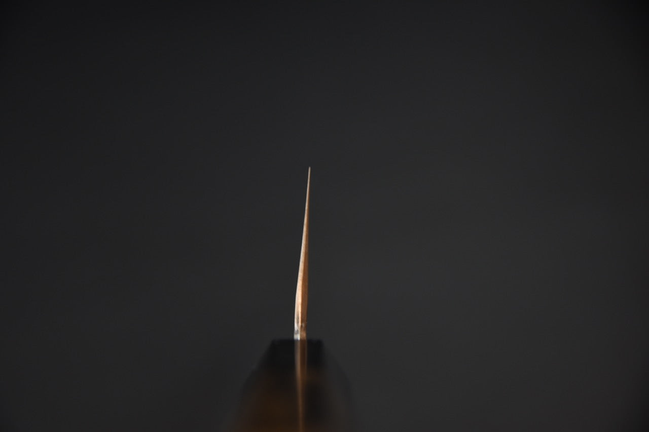 Hitohira Tanaka Kyuzo Aogami #1 Migaki Gyuto 210mm Ziricote