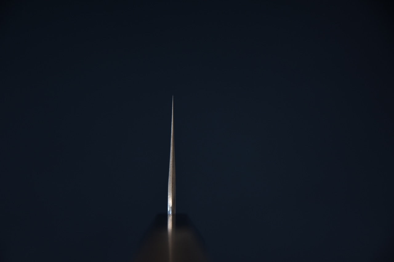 Hitohira Tanaka Kyuzo Aogami #1 Migaki Gyuto 240mm Ziricote