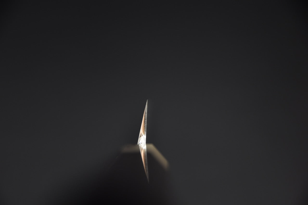 Hitohira Tanaka Manzo Aogami #1 Takobiki 270mm Ebony