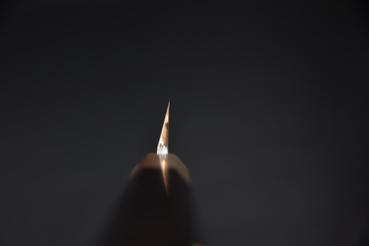 Hitohira Tanaka Mosuke Aogami #1 Yanagiba 270mm Ebony