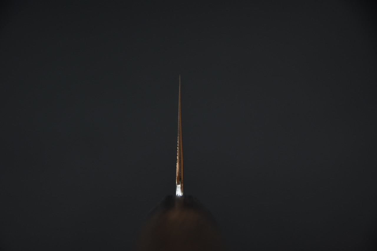 Hitohira Tanaka Ren Shirogami #2 Gyuto 240mm Tagayasan