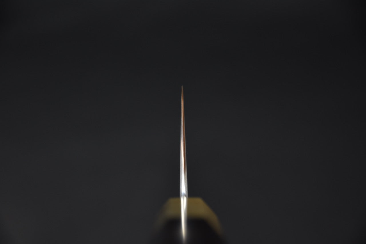 Profil de la lame du couteau japonais gyuto Hitohira Tanaka Yohei Aogami #1 vu depuis le dos.