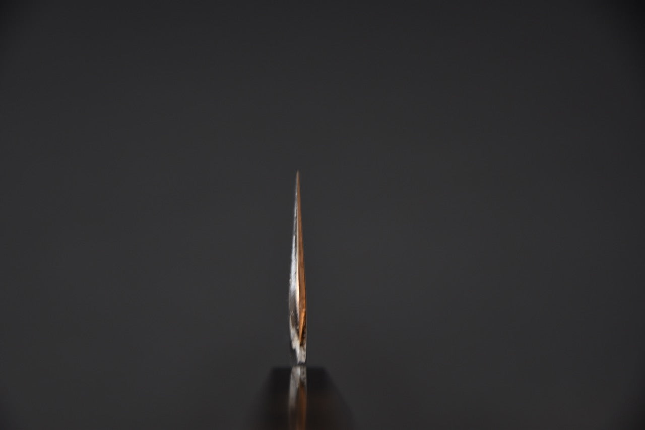 Hitohira Togashi Aogami #1 Migaki Gyuto 240mm Ziricote