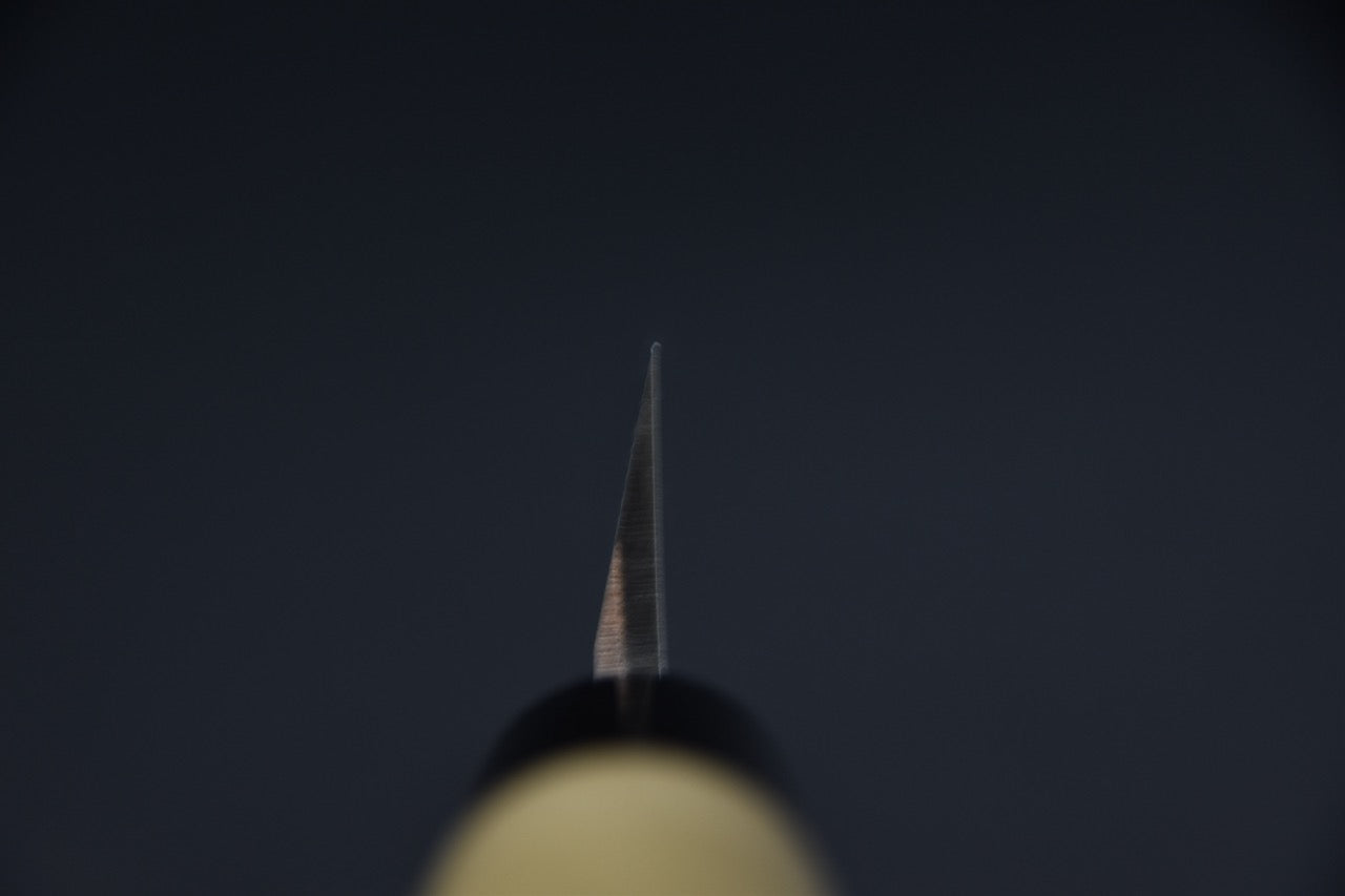 Hitohira Togashi Aogami #2 Edo Saki 180mm Ho