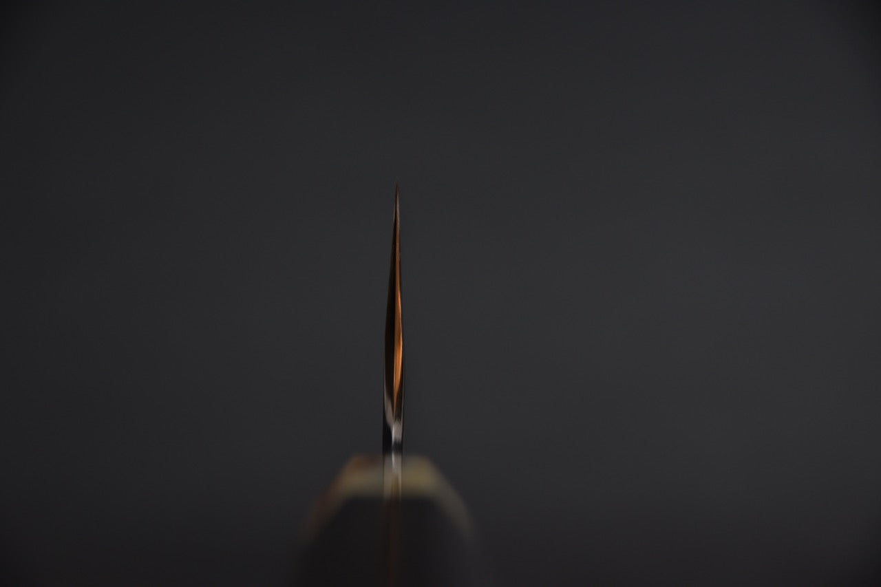 Hitohira Togashi Aogami #2 Kurouchi Gyuto 210mm Ébène