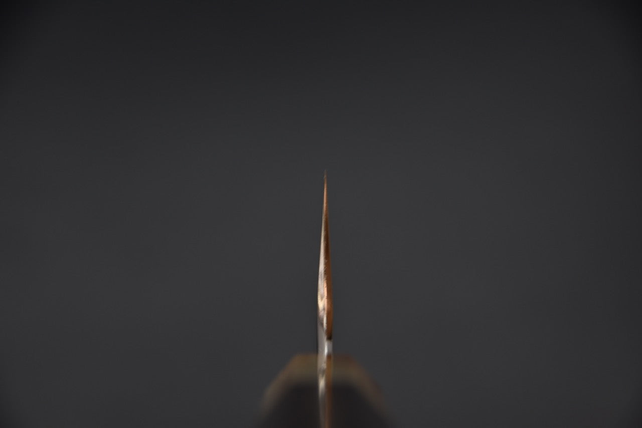 Vue de face du tranchant montrant la finesse du biseau.