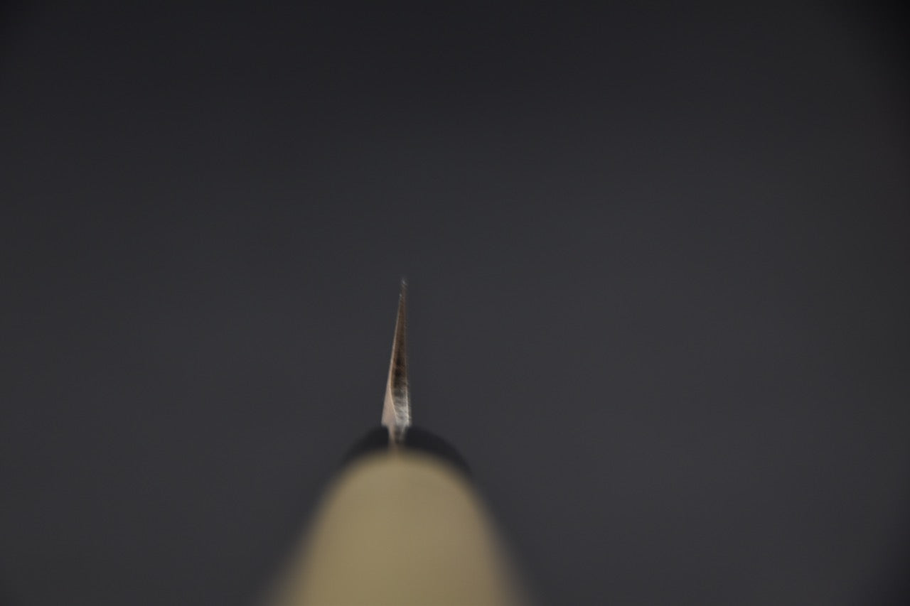 Hitohira Togashi Shirogami #2 Yanagiba 240mm Ho