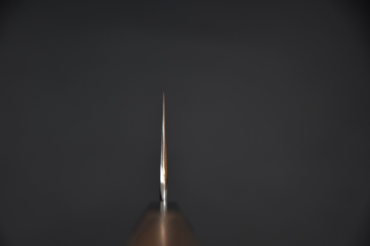 Hitohira Togashi Shirogami #1 Damascus Gyuto 240mm Cèdre Yakusugi Brûlé