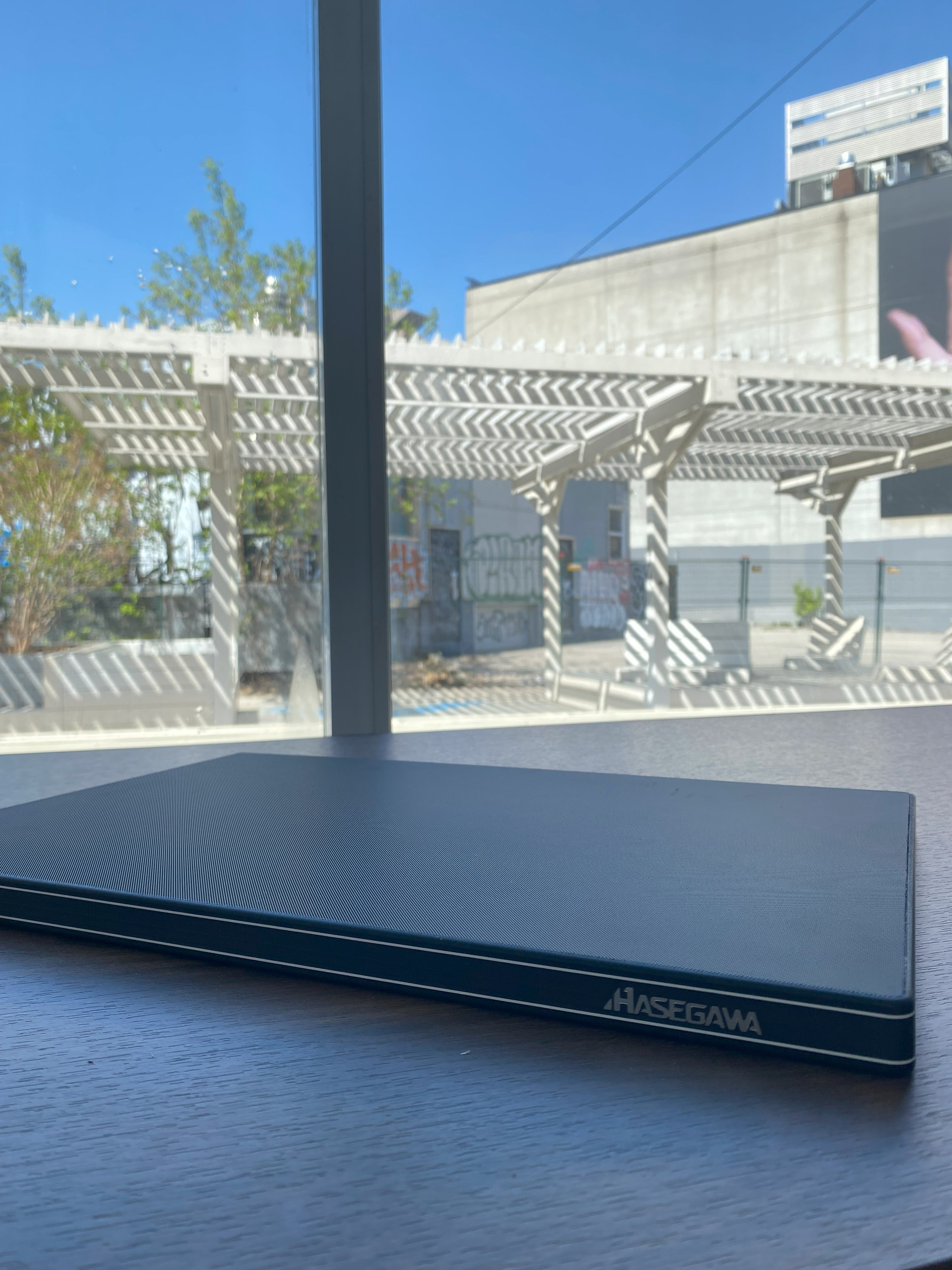 Planche à découper Hasegawa Noire