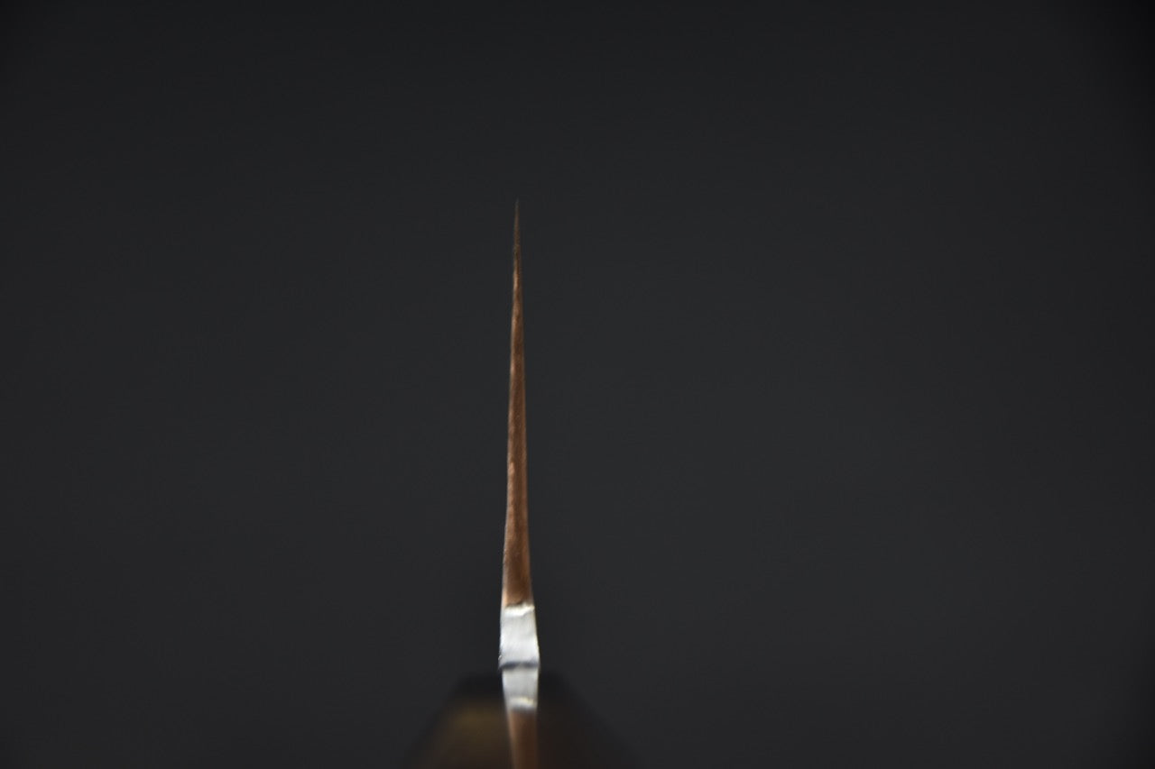 Jiro Tsuchime Wa Gyuto 210mm Taihei Tagayasan (#549)