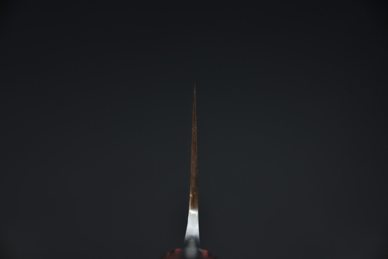 Jiro Tsuchime Yo Gyuto 225mm Tagayasan (#566)