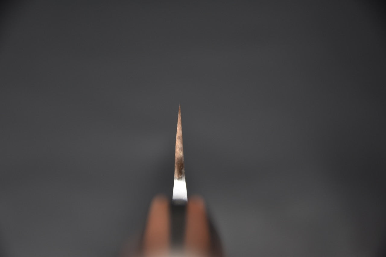 Jiro Tsuchime Yo Sujihiki 270mm Tagayasan (#583)