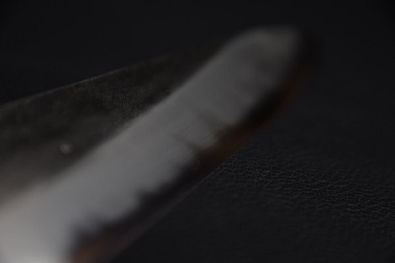 Jiro Tsuchime Yo Sujihiki 270mm Tagayasan (#583)