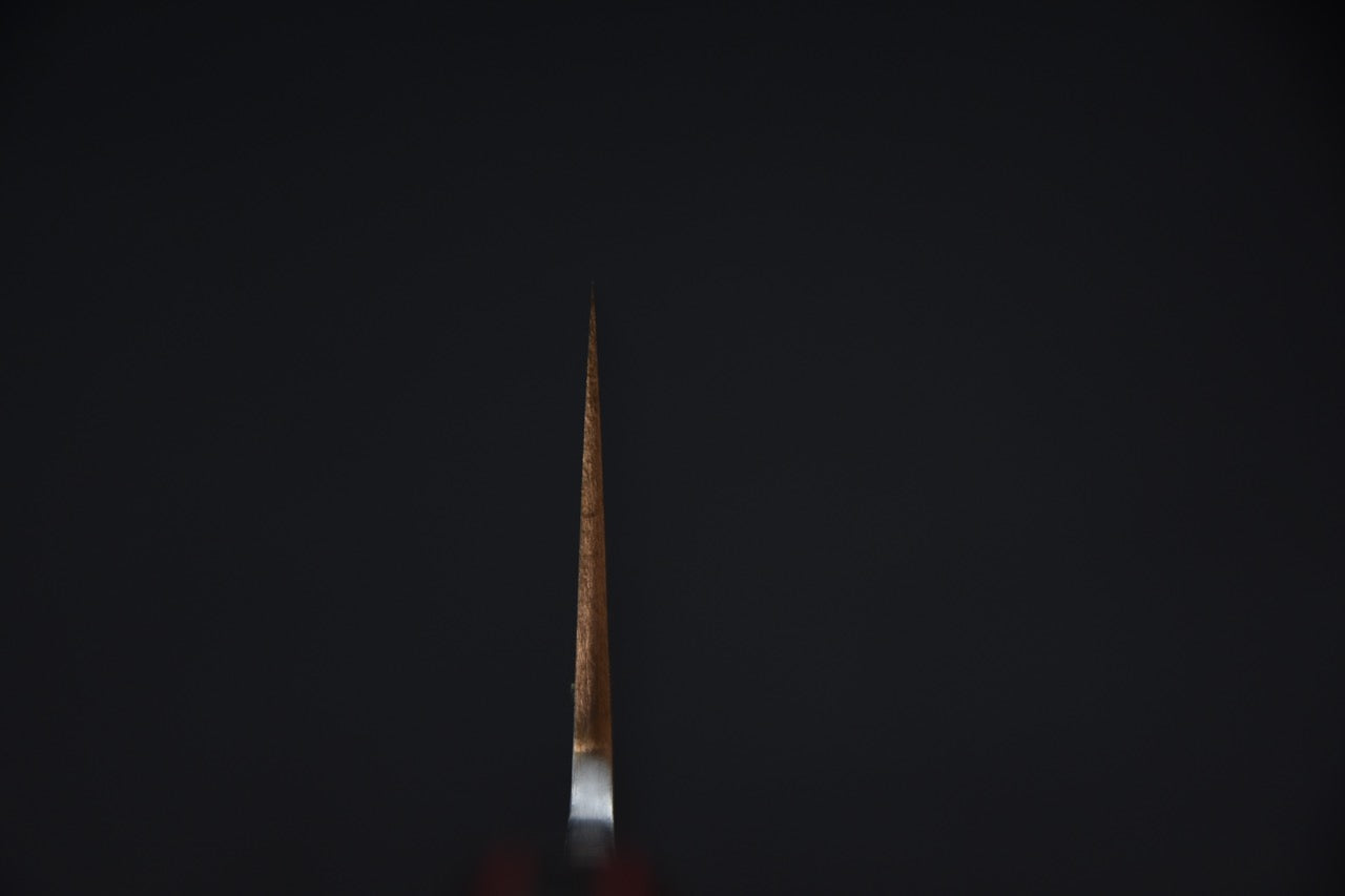 Jiro Tsuchime Yo Gyuto 225mm Tagayasan Handle (#468)