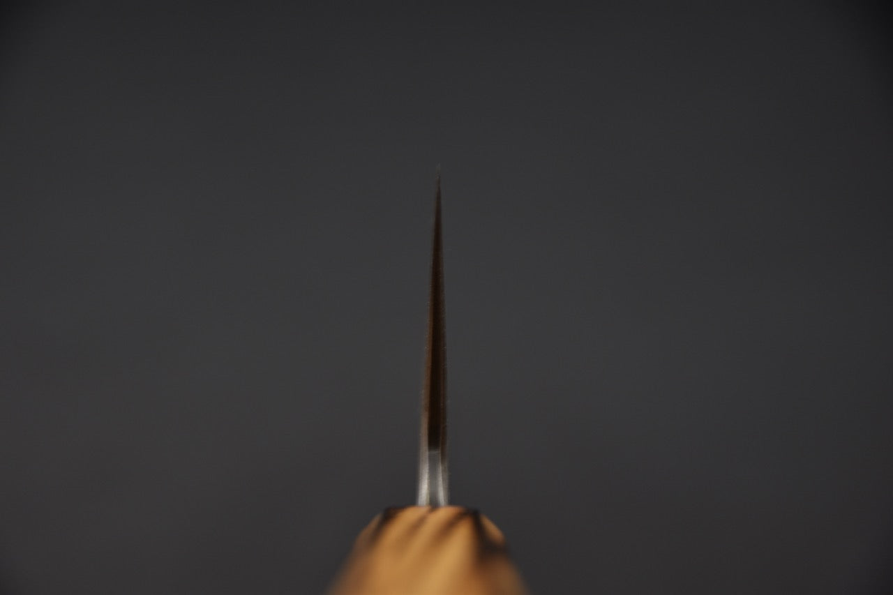 Couteau japonais Gyuto 210mm en 125Cr1, vue frontale du dos montrant la géométrie fine de la lame.