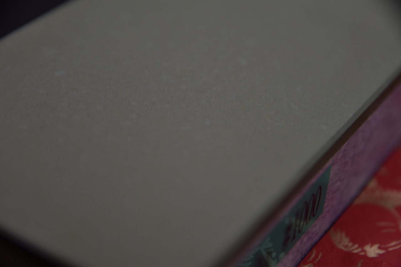 NSK Kyogo Kyokuha Diamond Stone #1000