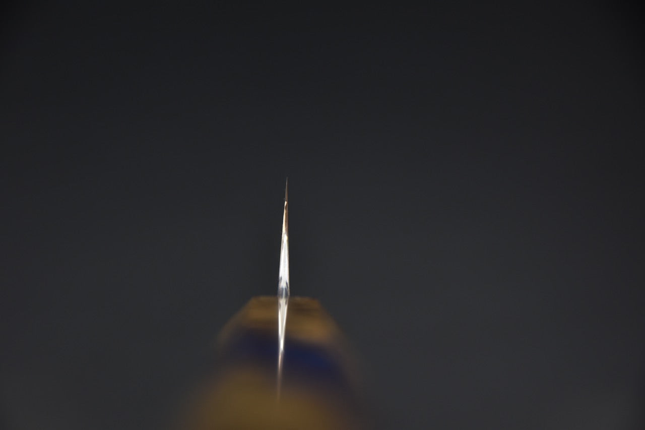 Nigara Hamono Aogami #2 Rainbow Damascus Sujihiki 255mm