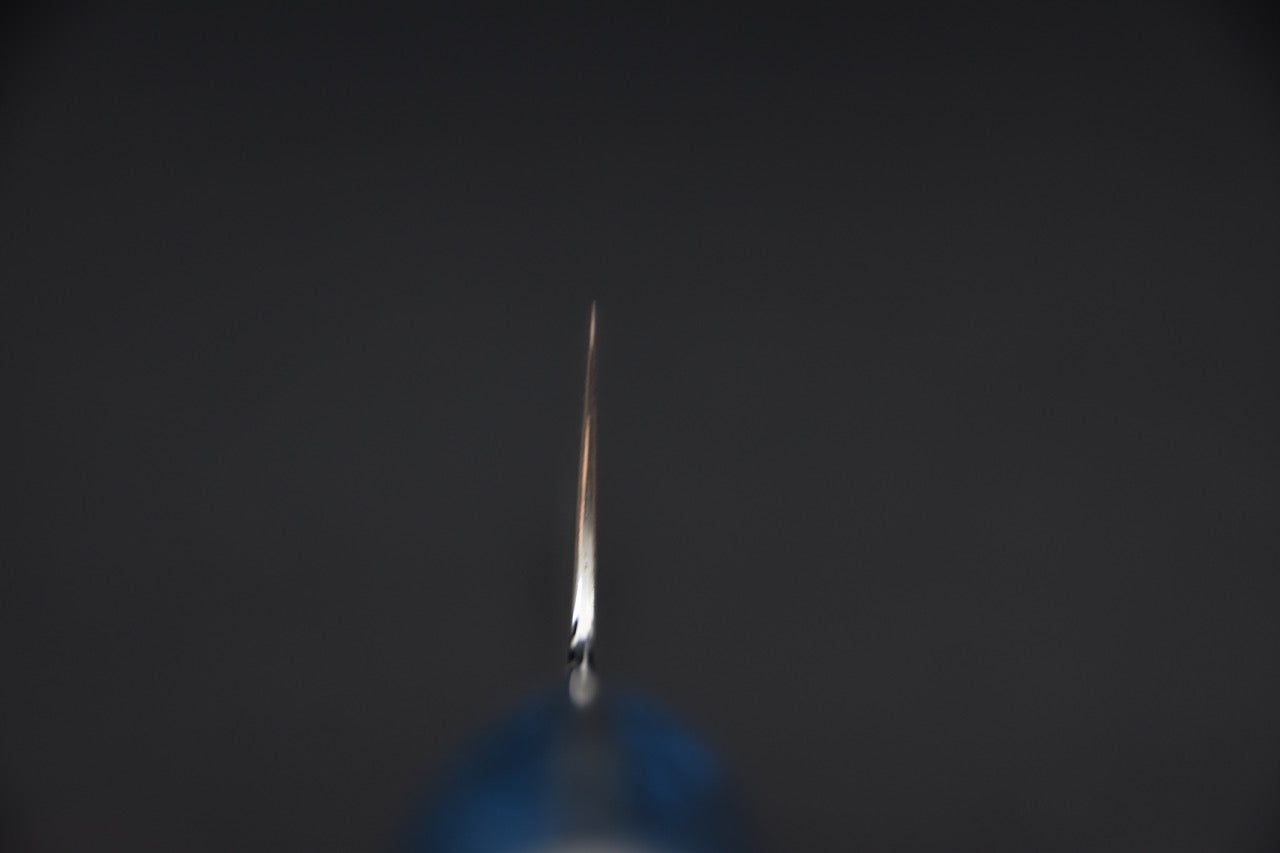 Nigara Hamono SG2 Anmon Damascus Gyuto 210mm G10