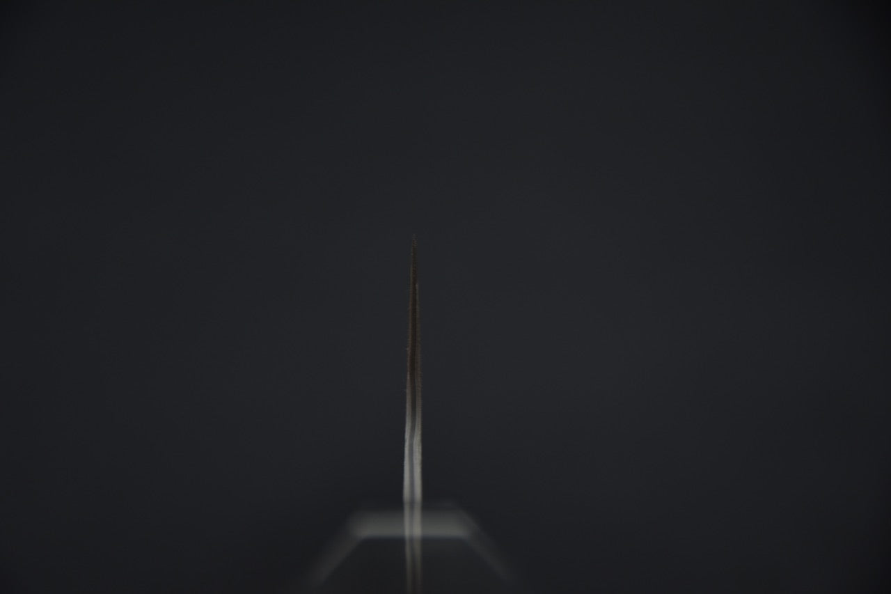 Nigara Hamono SG2 Anmon Damascus Gyuto 210mm Bouleau